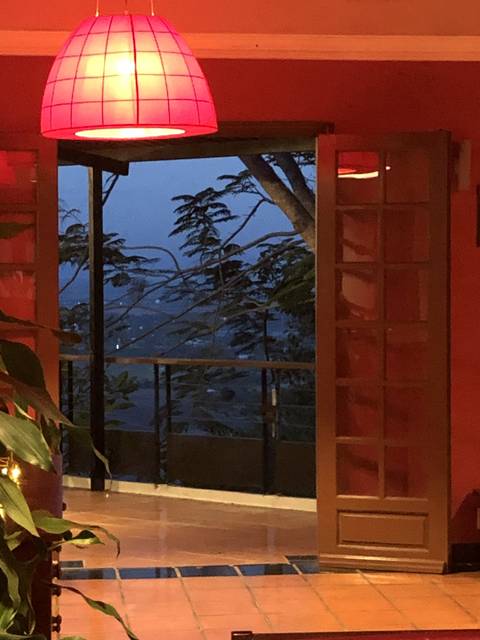       Outdoor scene with plants and a window view.
  