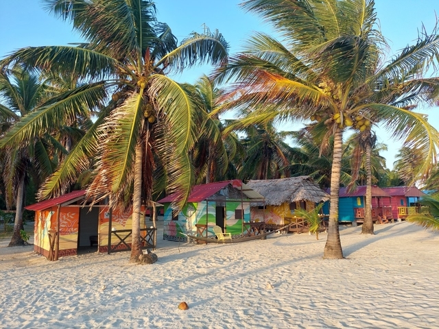Colorful beach huts and palm trees on a sandy shore.