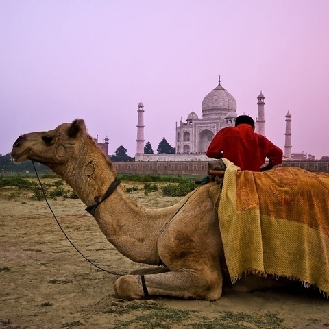 04 Day Luxury Golden Triangle Tour to Agra and Jaipur From New Delhi customer review photo 