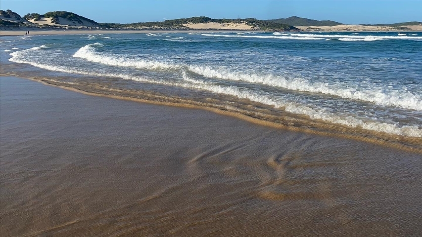 A beach shoreline with waves crashing.