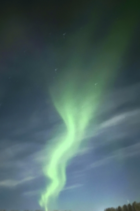       Northern lights in the night sky.
  