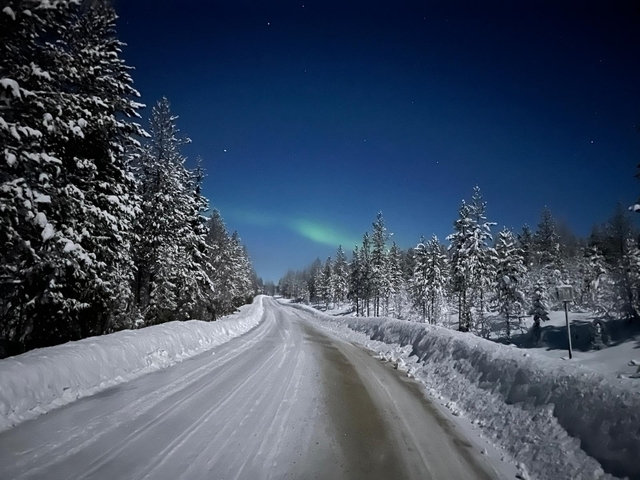 Snowy road through forest with aurora borealis in night sky.