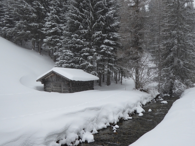 Cabin in a snowy forest area.