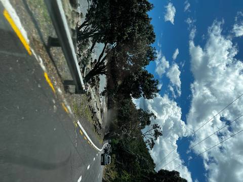 A winding road amidst trees and clear skies.