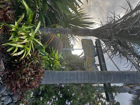       Slightly tilted image of a tropical lodge sign surrounded by dense plants.
  