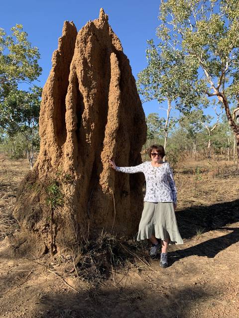       Person standing near a large termite mound.
  