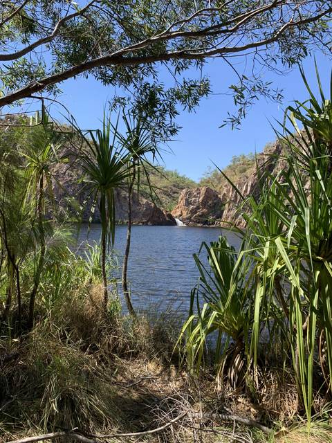       Waterfall surrounded by lush greenery.
  