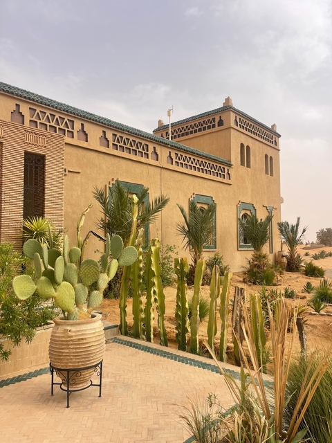 Building with cactus plants