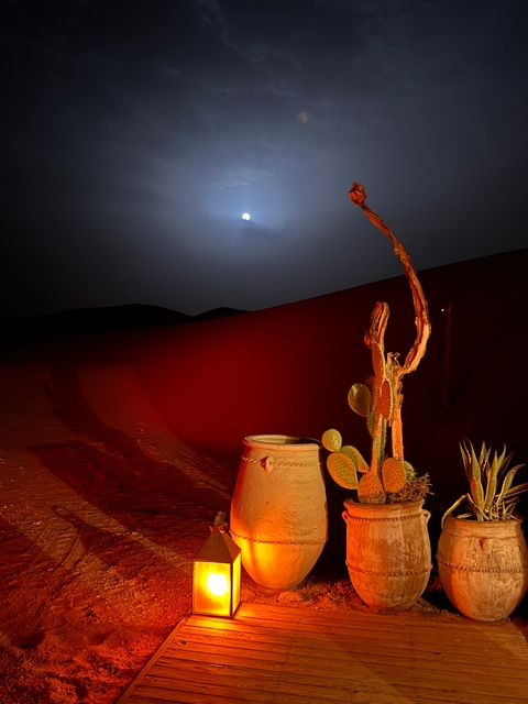 Desert scenery at night with pot