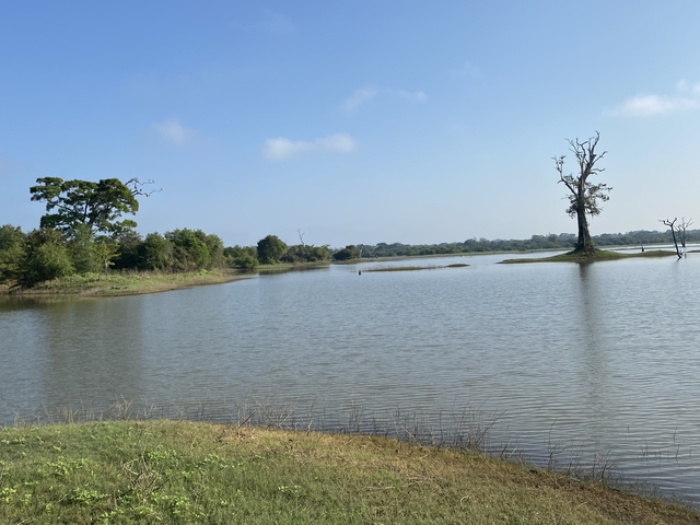 Peaceful lake with trees and small islands