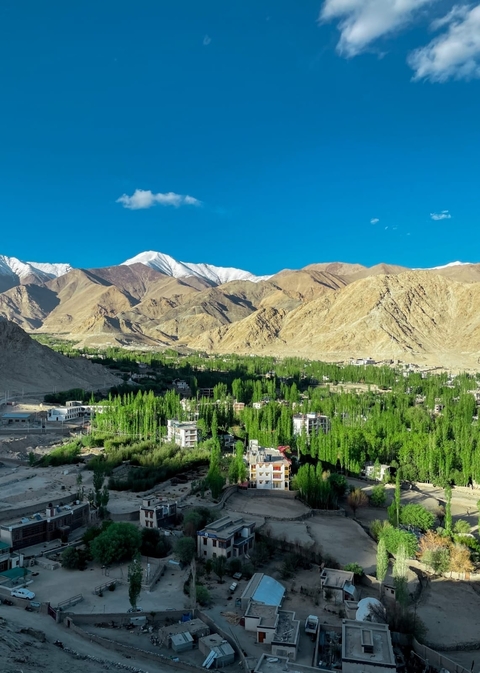       A broad green valley of poplar trees below dramatic snow–capped peaks and tawny mountains under a clear blue sky.
  