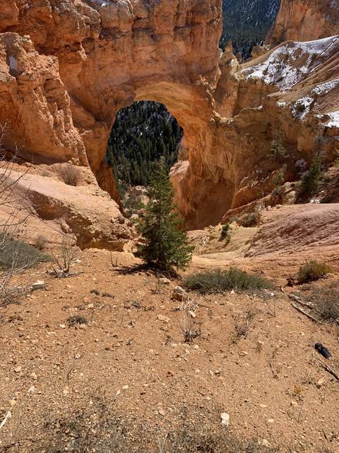 Rock formation arch in a desert landscape.