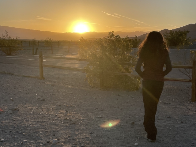 A person watching the sunset in a desert environment.