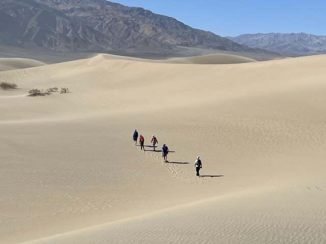 A group of people trekking across vast sand dunes.