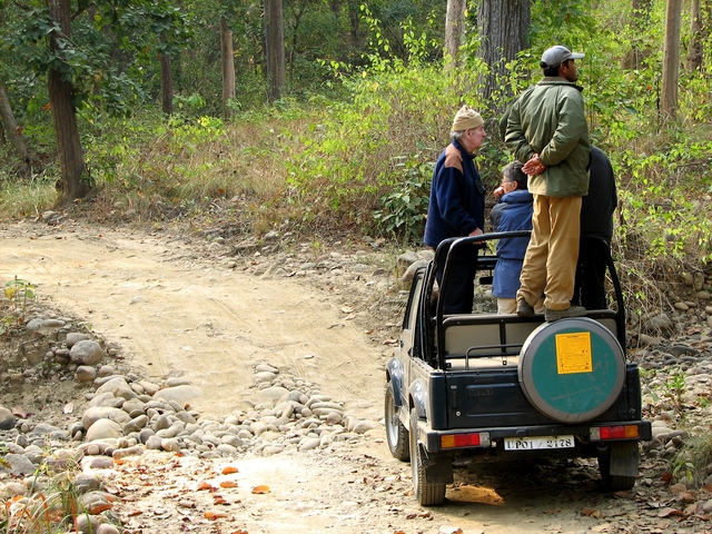 People on a jeep safari in a wooded area.