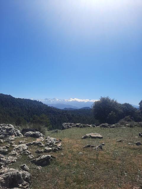 Rocky landscape with a distant view of snowy peaks.