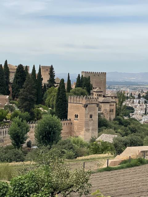 Scenic view of a historic fortress with trees.
