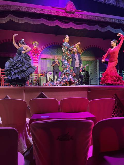 Flamenco dance performance with colorful lighting on stage.