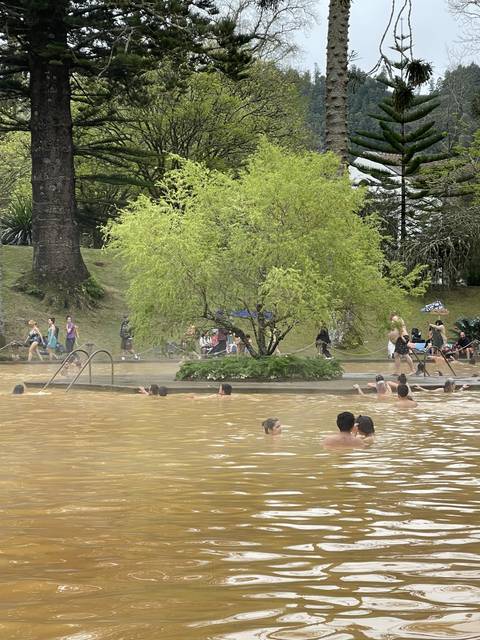       People swimming in a natural thermal pool surrounded by trees.
  