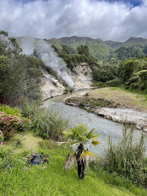       Landscape with greenery, steam rising, and a palm tree.
  