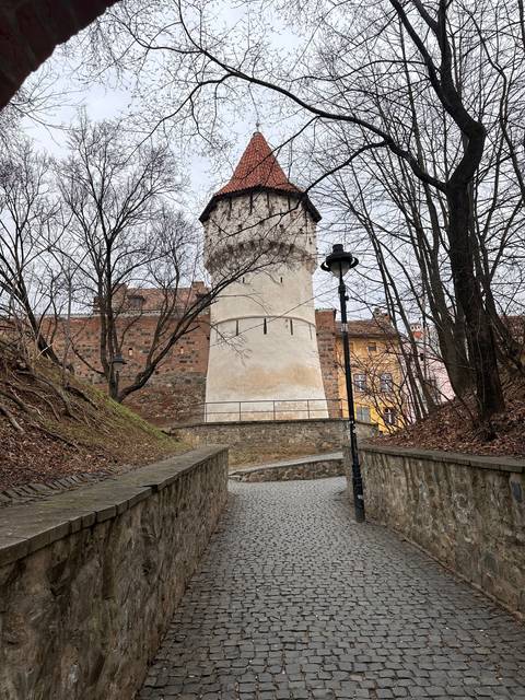       A tower surrounded by trees on a cobblestone path.
  