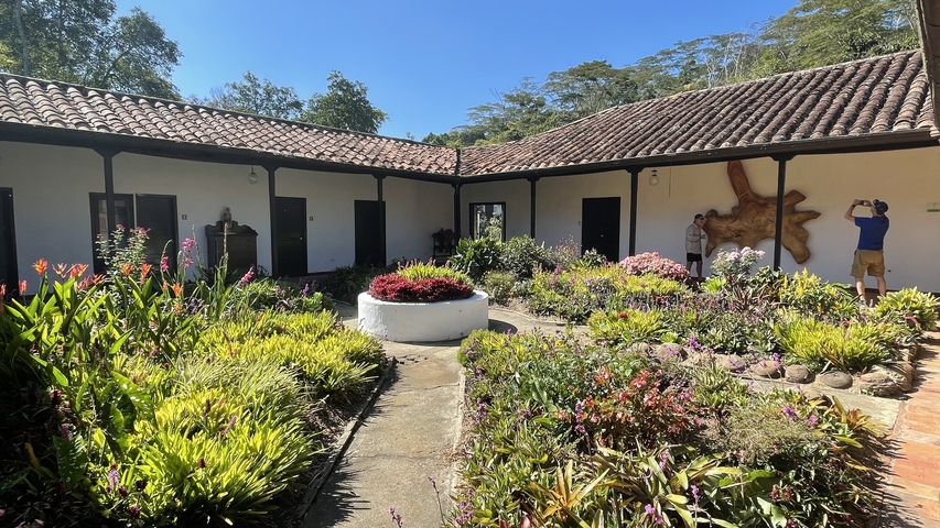       Courtyard garden with colorful flowers and foliage.
  