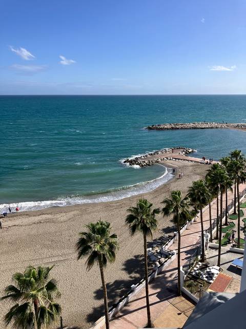       View of a beach with palm trees and a calm sea.
  