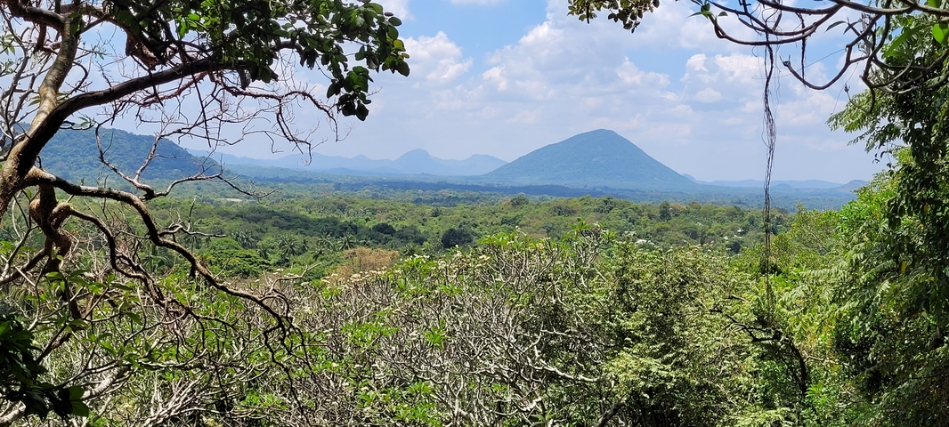       Lush green landscape with mountains in the distance.
  