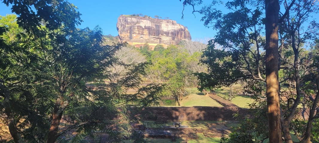       The iconic Sigiriya rock formation surrounded by trees.
  