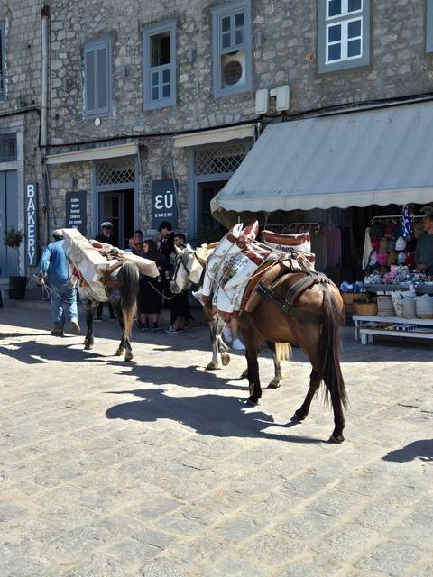       Donkeys on a stone street in a town.
  