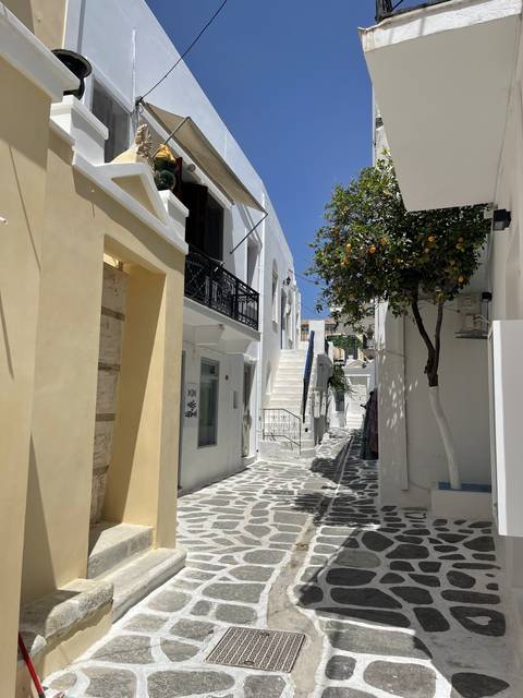       Traditional Greek street with white buildings and cobblestone path.
  