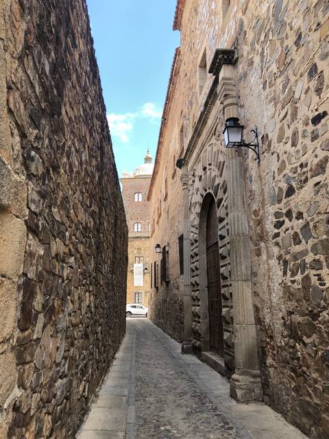 Historic stone street with decorative door.