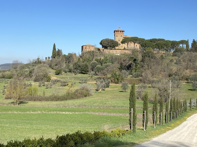       Historic building on a hill with trees and grass.
  