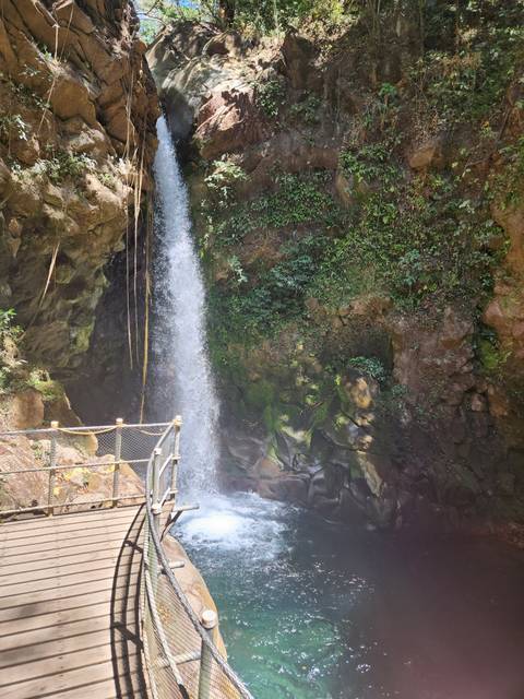       Waterfall flowing into a pool surrounded by lush vegetation.
  