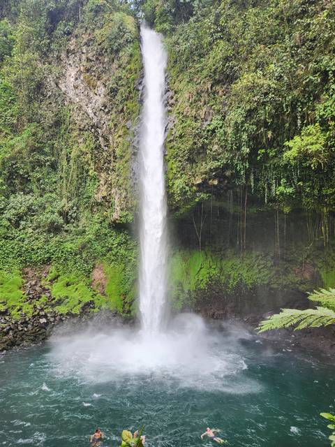       Tall waterfall plunging into a pool surrounded by dense vegetation.
  