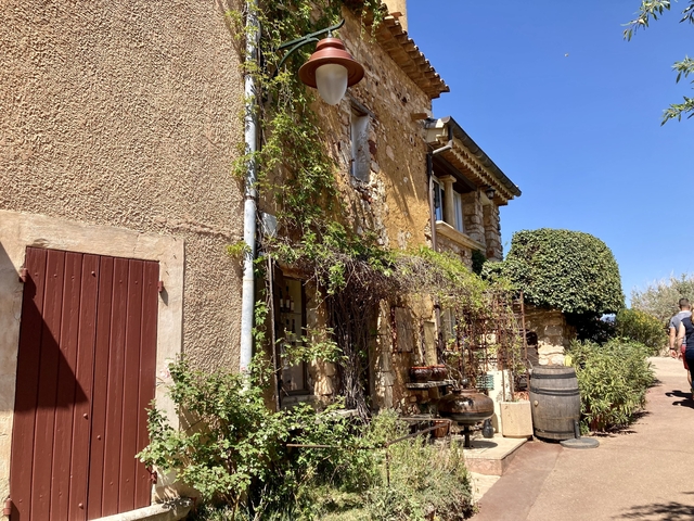 Charming house with ivy-covered walls and rustic decorations.