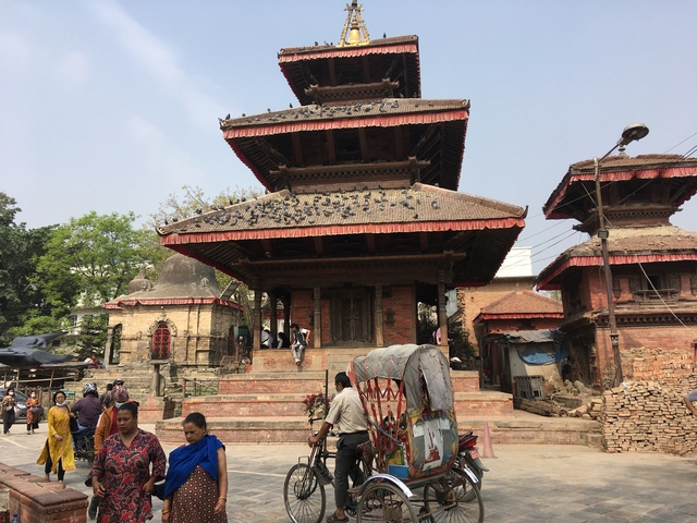 Temple with a pagoda-style roof and pigeons.