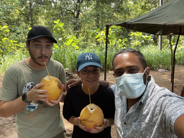 Three people sipping coconuts in a forest setting.