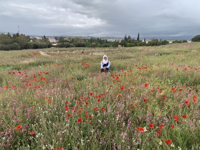       A person sitting in a field of red poppy flowers with a cloudy sky.
  
