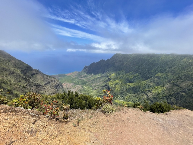 Scenic view of a canyon with the ocean in the background.