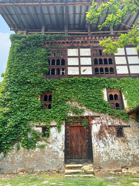       Old building covered with ivy and wooden windows.
  