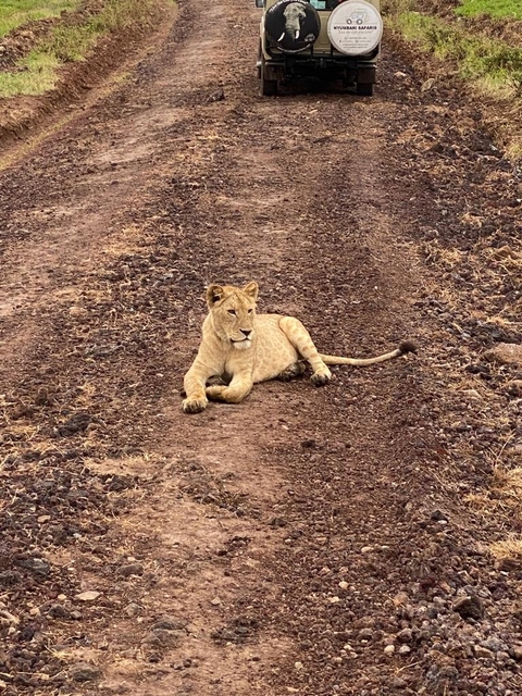 Klantbeoordelingsfoto van Manyara, Serengeti, Ngorongo, Tarangire 