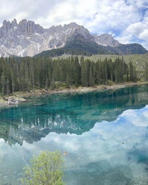 Clear blue lake surrounded by dense forest.