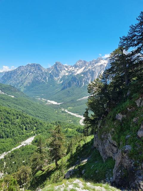       View of a mountain range amidst green forest.
  