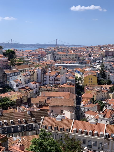 Wide view of a city with red-roofed buildings.