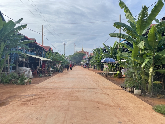       Dirt road with houses and greenery.
  