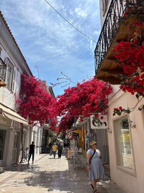       A vibrant street with shops and blooming red bougainvillea.
  