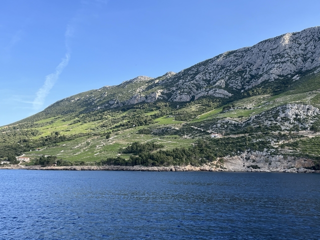 Lush green hillside by the sea.