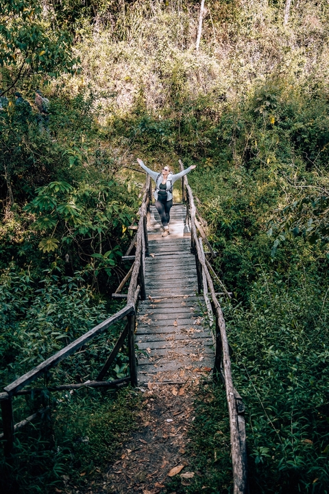 Woman walking on a wooden bridge in a lush forest.