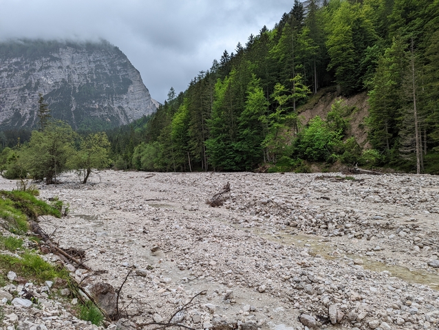       Rocky river path surrounded by dense forest and mountains
  